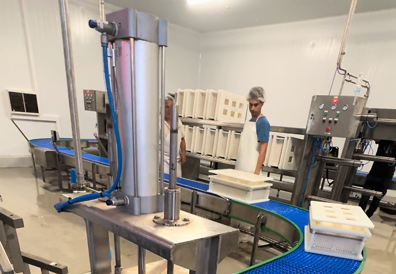 Soporte profesional
